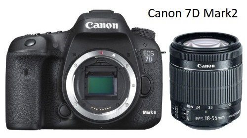 Canon 7D Mark2 camera - review