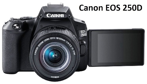Canon EOS 250D camera - reviews