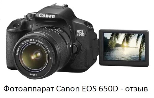 La descripción de la cámara Canon EOS 650D-opinión