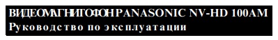 User manual Panasonic NV-HD 100AM