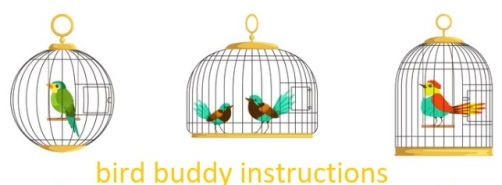 Bird buddy instructions