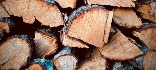Инструкция как выбрать дрова для бани и копчения