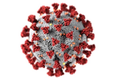 Wie man die Zeit der Koronovirus-Epidemie überlebt